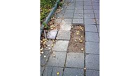 Foto: archiv autorky