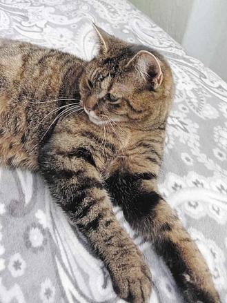 LUCINA. Foto: Klára Kistlerová, Velký Beranov