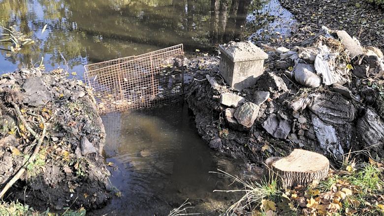 BAGR proboural v oblasti stavidla zemní násep jižní stoky u Zámeckého rybníka v Brtnici kvůli jeho vypuštění.  Foto: archiv Stavebně historická huť   