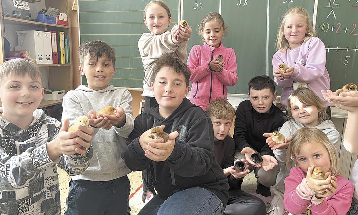 Foto: archiv školy