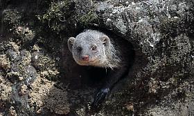 Foto: Zoo Jihlava