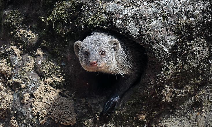 Foto: Zoo Jihlava