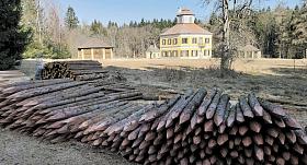ZÁMEČEK Aleje v Jestřebském lese na snímku z března letošního roku. Materiál pro oplocení zde podle informace ředitelky Nadace českého výtvarného umění mají uskladněny Lesy ČR, s provozem areálu zámečku nesouvisí. Foto: Jiří Varhaník 