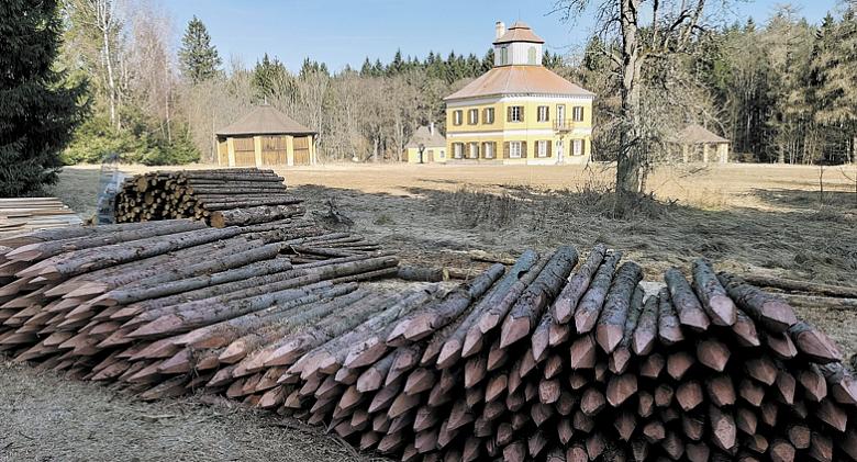 ZÁMEČEK Aleje v Jestřebském lese na snímku z března letošního roku. Materiál pro oplocení zde podle informace ředitelky Nadace českého výtvarného umění mají uskladněny Lesy ČR, s provozem areálu zámečku nesouvisí. Foto: Jiří Varhaník 