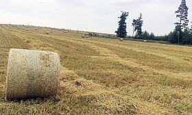 Foto: Ladislava Brabencová 