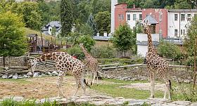 Foto: Zoo Jihlava
