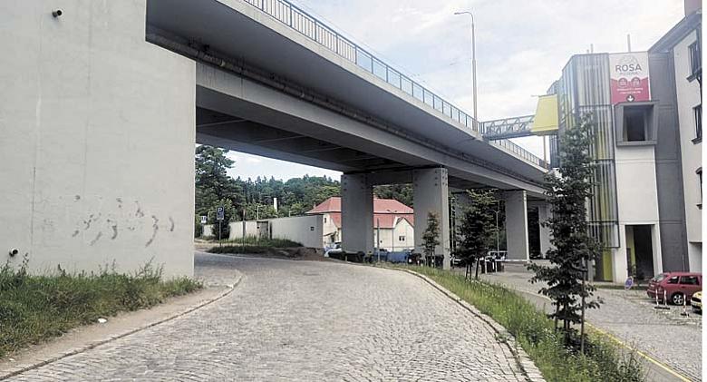 HOLUBI hnízdí v pilířích Brněnského mostu v Jihlavě.  Foto: Pavel Bajer