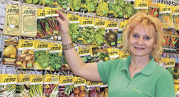 NABÍDKA kvalitních semen je v jihlavské semenářské prodejně opravdu nepřeberná. Její vedoucí Kristýna Latzková představuje například mangold. Foto: Ladislava Brabencová