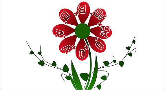 Ilustrační foto: Pixabay