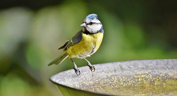 Ilustrační foto: Pixabay
