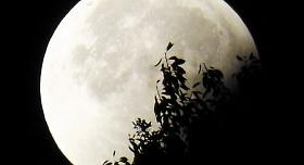 Ilustrační foto: Pixabay