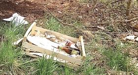 JARNÍ úklid Vysočiny se v letošním roce nekoná. Přesto Jihlavačka Anabel Kasalová během jednoho týdne sama uklidila lokalitu Českého mlýna. Zdroj: archiv Anabel Kasalové