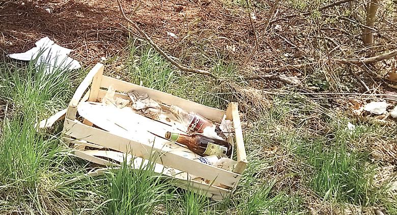 JARNÍ úklid Vysočiny se v letošním roce nekoná. Přesto Jihlavačka Anabel Kasalová během jednoho týdne sama uklidila lokalitu Českého mlýna. Zdroj: archiv Anabel Kasalové