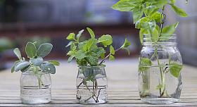 Ilustrační foto: Pixabay