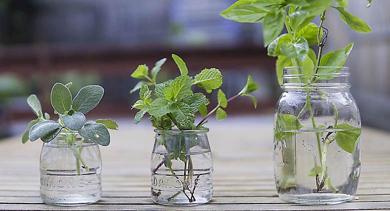 Ilustrační foto: Pixabay
