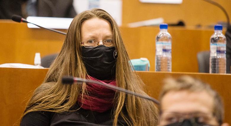 BLANKA LEDNICKÁ (Česká pirátská strana) je předsedkyní krajského sdružení vysočinských pirátů. 