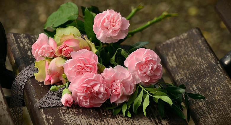 Ilustrační foto: Pixabay