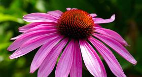 Ilustrační foto: Pixabay