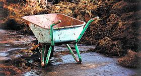 Ilustrační foto: Pixabay