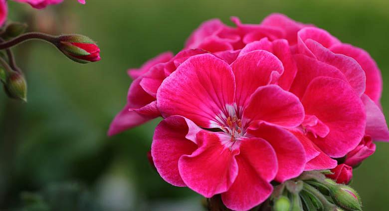 Ilustrační foto: Pixabay