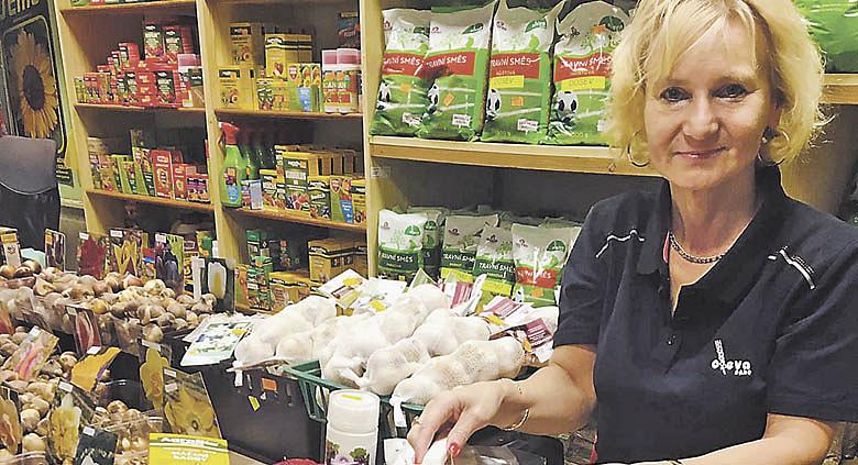 SAZEČKY cibule vysazujte do hloubky až 10 cm, ve vzdálenosti cca 5 cm od sebe, vzdálenost řádků by měla být 25 až 30 cm. Důkladně přihrňte půdou.  Foto: Ladislava Brabencová