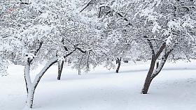 Ilustrační foto: Pixabay.com