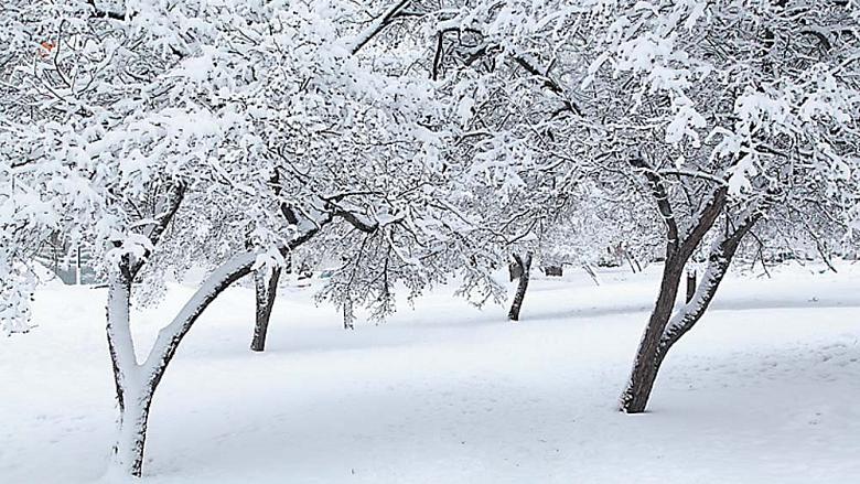 Ilustrační foto: Pixabay.com
