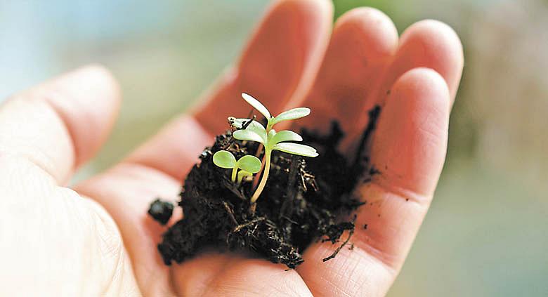Ilustrační foto: Pixabay
