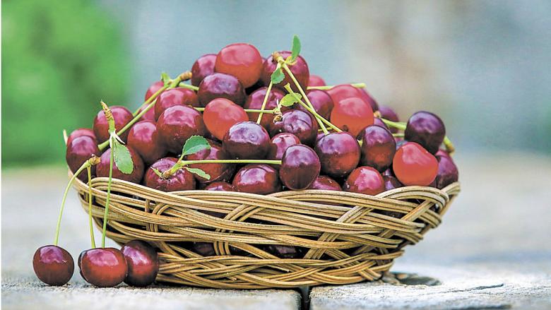 Ilustrační foto: Pixabay