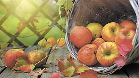 Ilustrační foto: Pixabay