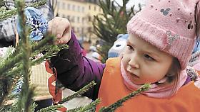 S VÁNOČNÍMI STROMEČKY jsou spojené i Jihlavské listy. Už po jednadvacáté zpestří soutěž JL O nejkrásnější vánoční stromeček centrum krajského města. Letos budou stromečky nazdobeny u nákupního centra City Park. Foto: archiv JL