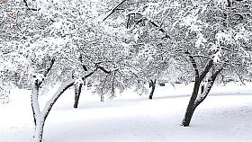 Ilustrační foto: Pixabay