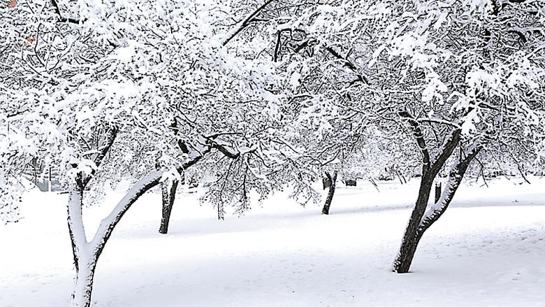 Ilustrační foto: Pixabay
