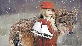 Ilustrační foto: Pixabay