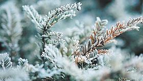 Ilustrační foto: Pixabay