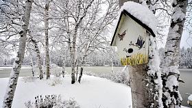 Ilustrační foto: Pixabay