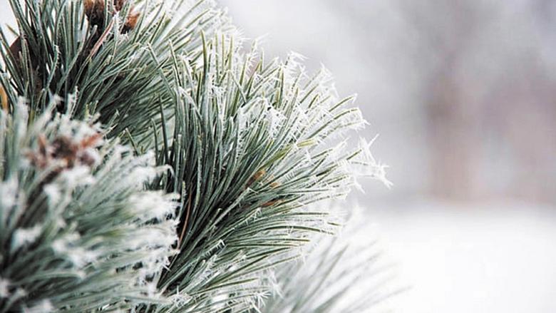 Ilustrační foto: Pixabay