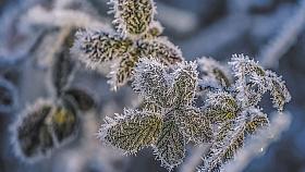 Ilustrační foto: Pixabay