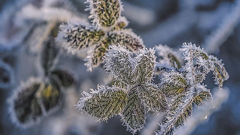 Ilustrační foto: Pixabay